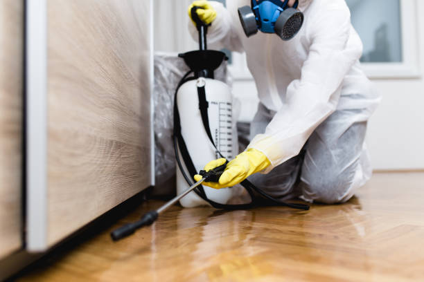 Wasp Removal Services in Jersey City, NJ