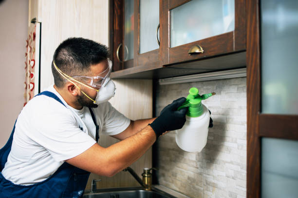 Best Local Pest Control Services  in Jersey City, NJ