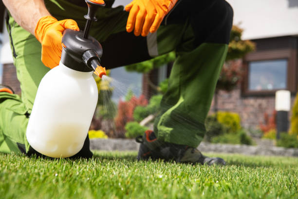 Best Bed Bug Extermination  in Jersey City, NJ