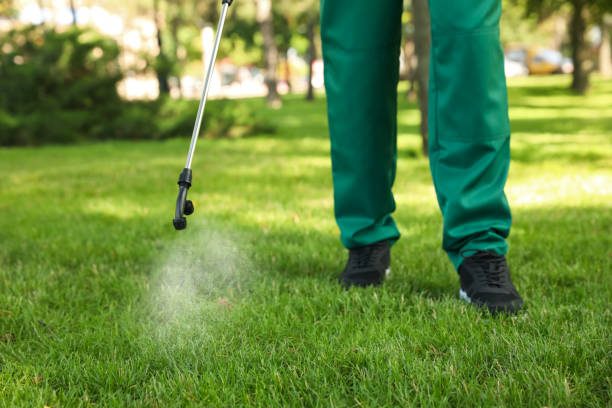 Best Termite Control Services  in Jersey City, NJ