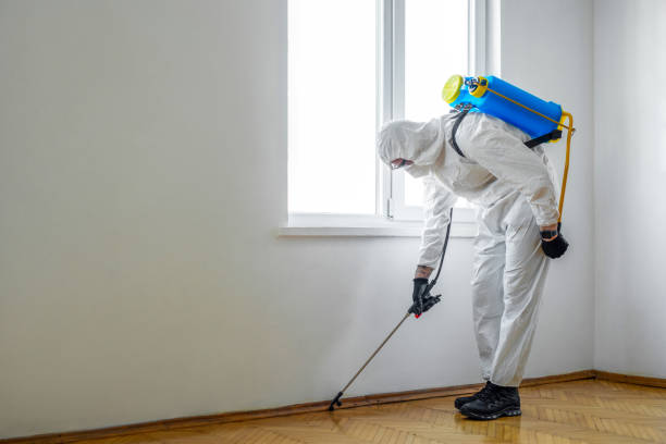 Best Affordable Pest Control Services  in Jersey City, NJ
