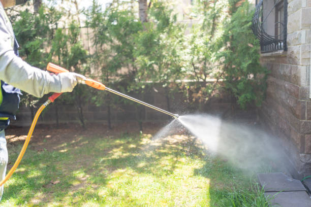 Best Spider Control Near Me  in Jersey City, NJ