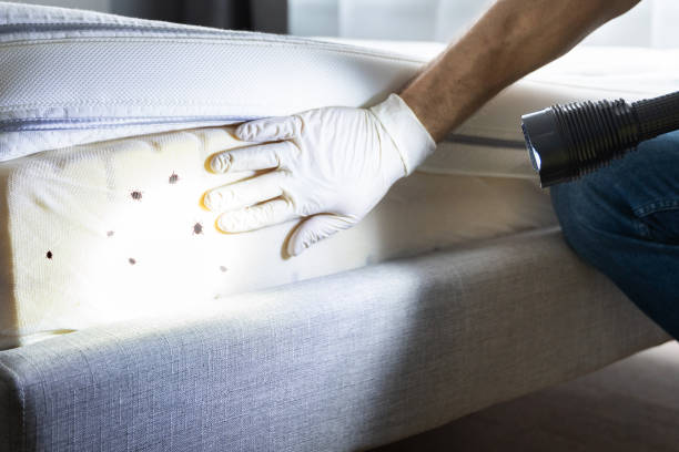 Jersey City, NJ Pest Control Company