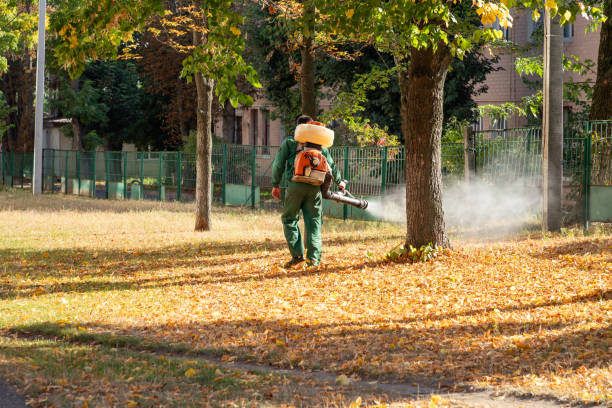 Best Emergency Pest Control  in Jersey City, NJ