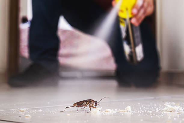 Best Affordable Pest Control Services  in Jersey City, NJ