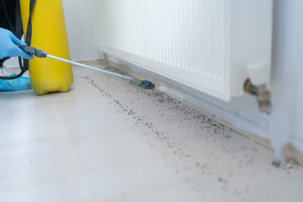 Best Pest Control Near Me in Jersey City, NJ