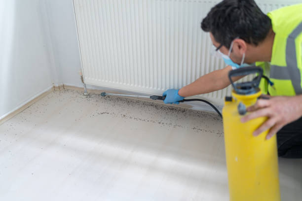 Best Rat Extermination Near Me  in Jersey City, NJ