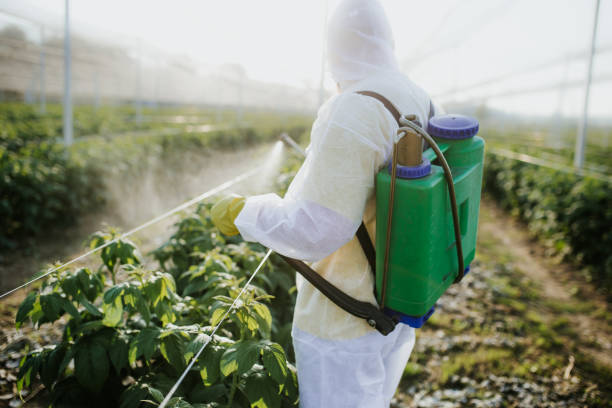 Best Ant Control Services  in Jersey City, NJ